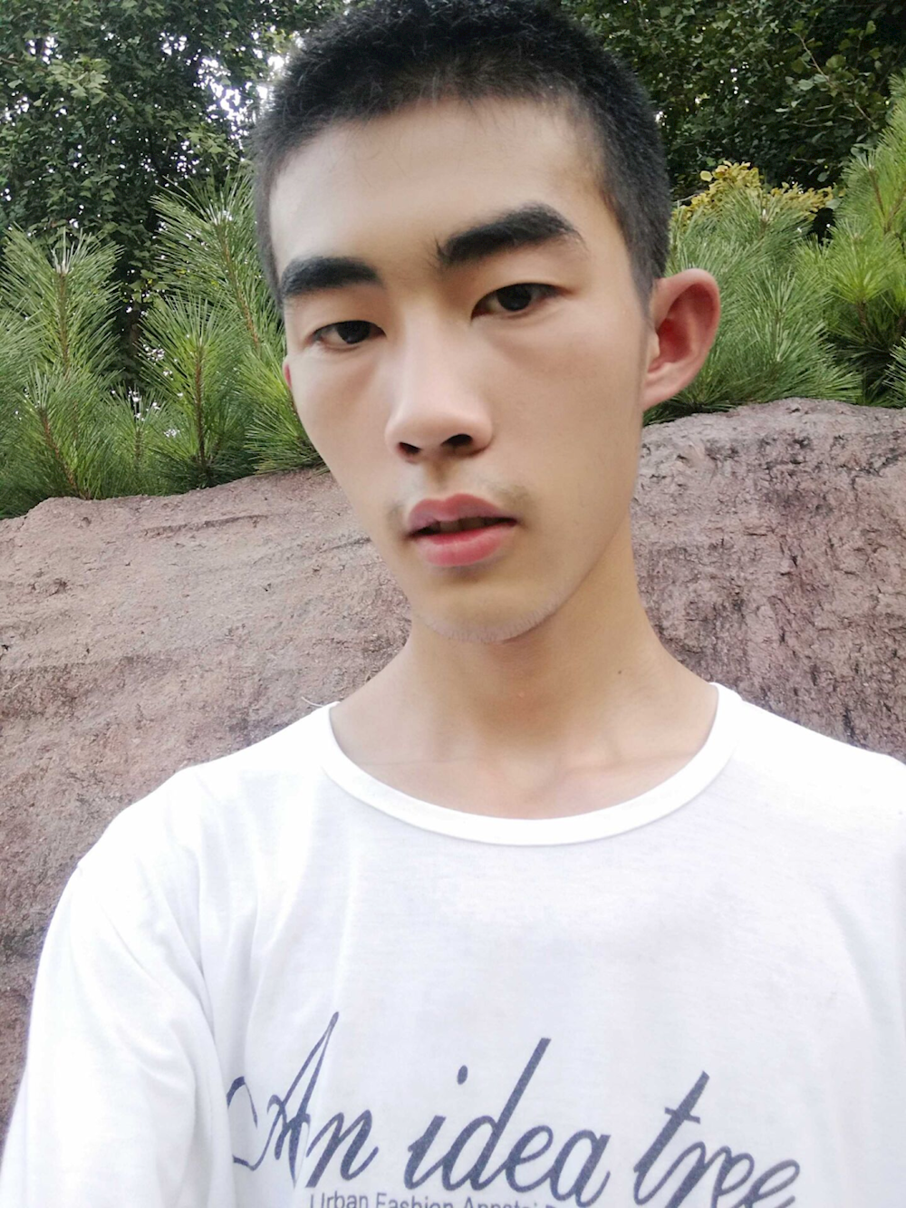 1502d125271544dfa0bb9af4e84bc59f.png